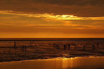 Goldene Stunde im Wattenmeer
