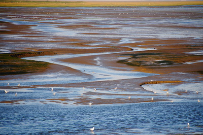 Nachmittags im Wattenmeer