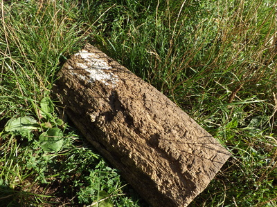 Ein Stück Holz im Gras