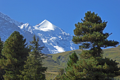 Silberhorn (3695 Meter)