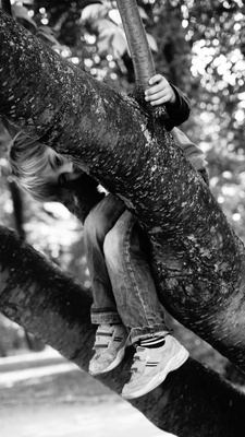 Junge im Baum