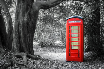 telephone in the woods