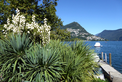 Herbsttage in Lugano / 2