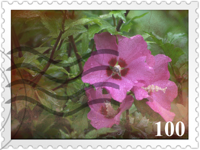 Hibiskus-Briefmarke