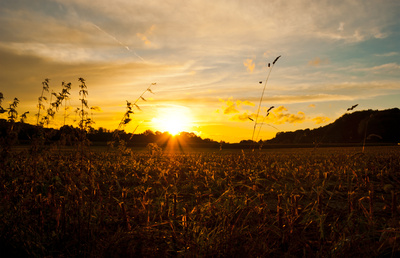 Abend über dem Feld Abend über dem Feld