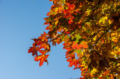 Es wird bunt Es wird bunt