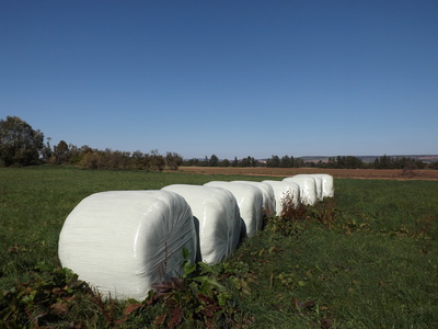 Verpackte Heuballen