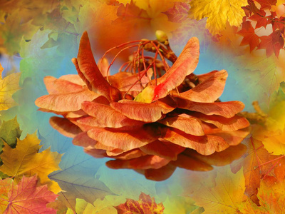 Herbstlich Foto Collage