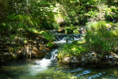 Rio Cerves / Galicien