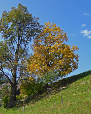 Und der Herbst beginnt