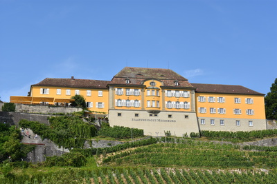 Weingut am Bodensee