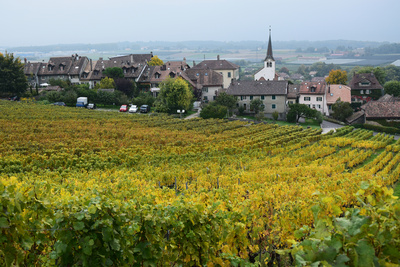 Weinbauerndorf Bugnaux über dem Genfersee