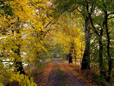 Herbstweg