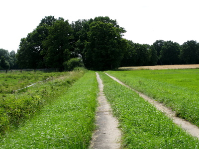 Weg für Traktor und mehr