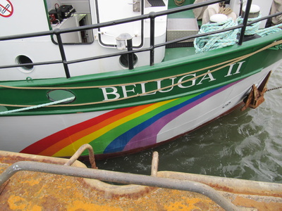 Greenpeace-Schiff Beluga 2