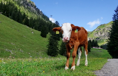 Typisch Bayern