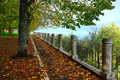 Herbstspaziergang im Park