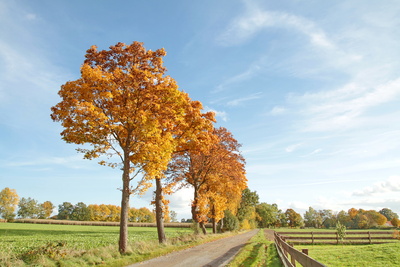 wandern durch den herbst