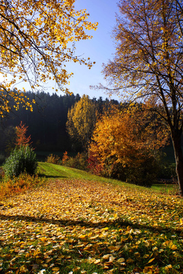 Uferweg am See 2