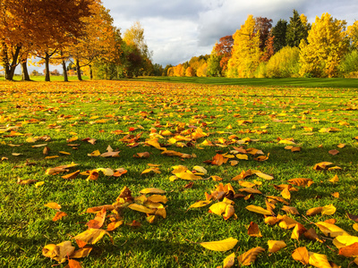 Herbstfarben in Wiese und Wald