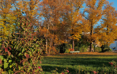 Herbststimmung