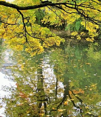Herbstidylle am See, Bäume spiegeln sich im Wasser