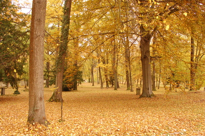 Weimar Herbst