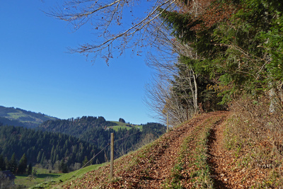 Auf dem Trans Swiss Trail