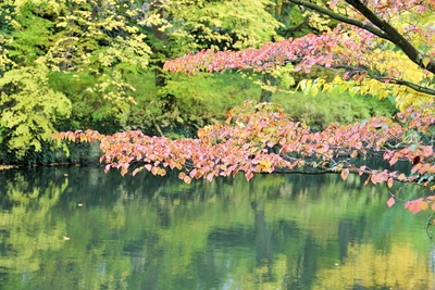 Herbstidylle am See
