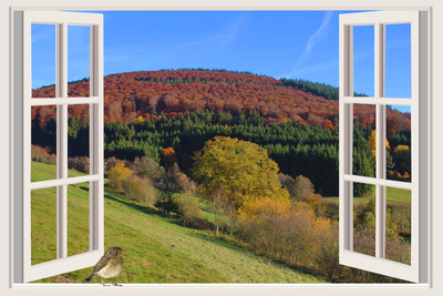 Kostenloses Foto: frische Herbstluft - pixelio.de