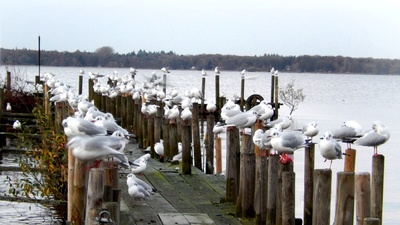 Weggegangen Platz vergangen