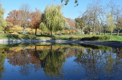 Herbstspaziergang im Kurpark Oberlaa 05