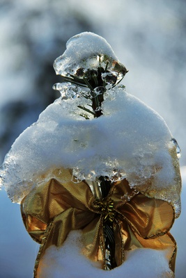 Eis+Schnee auf der Weihnachtsbaumspitze