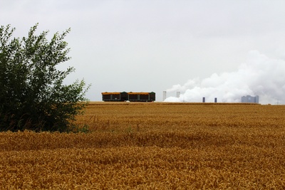 Anhänger im Kornfeld