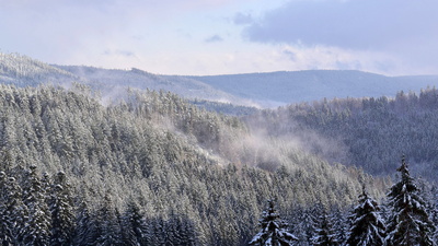Winteranfang im Schwarzwald