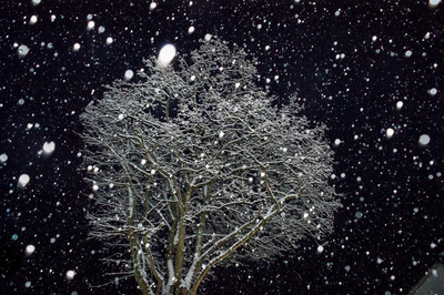 Winterpracht über Nacht Winterpracht über Nacht