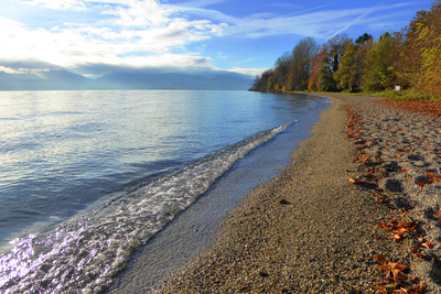 Genfersee bei Morges