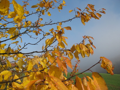 Herbstfarben