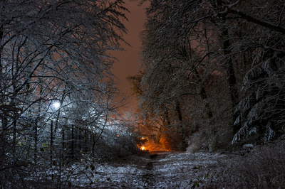 Winterpracht über Nacht (1) Winterpracht über Nacht (1)