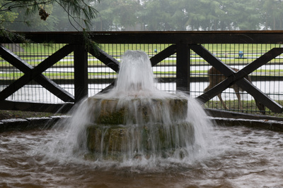 Brunnen auf dem Forellenhof