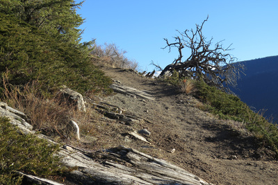 Auf dem Lötschberg-Wanderweg