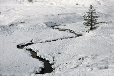 Bachlauf im Schnee