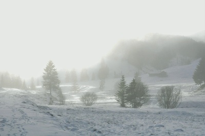 Schneelandschaft im Nebel