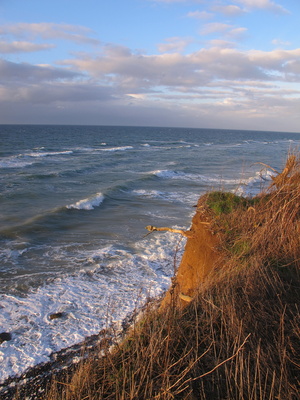 Steilufer in Ahrenshoop