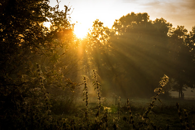 Stille des Morgens Stille des Morgens