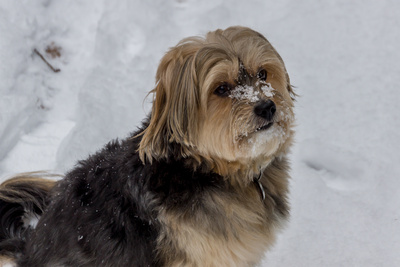 Freud und Leid im Winter Freud und Leid im Winter
