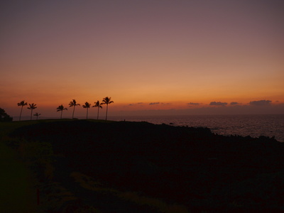Palmen Hawaii Sonnenuntergang