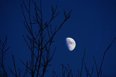 Mond am Winterabend