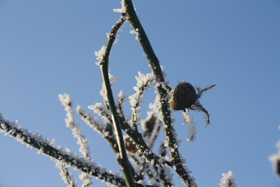 Frost und blauer Himmel