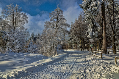 Winter Wunder Land